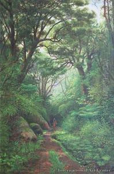 Coromandel Bush Walk Oil Painting by Charles Blomfield