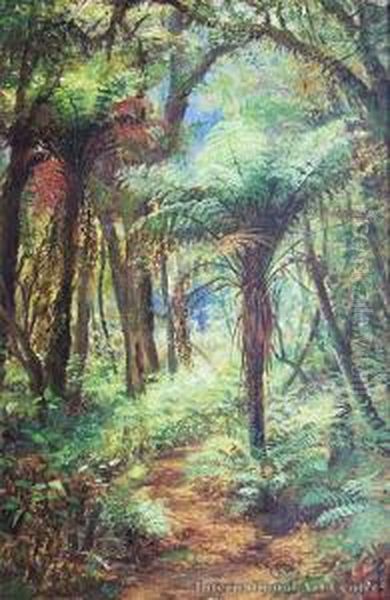 Sunlit Ferns Oil Painting by Charles Blomfield