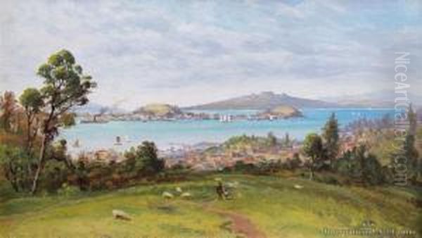 Auckland From Mt Eden Oil Painting by Charles Blomfield