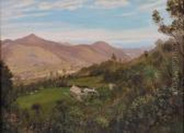 North Island Landscape Oil Painting by Charles Blomfield