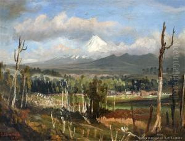 Mt Egmont, Taranaki Oil Painting by Charles Blomfield