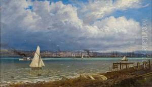 Auckland From The Northshore Oil Painting by Charles Blomfield