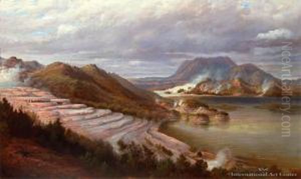 Rotomahana From The Pink Terraces Oil Painting by Charles Blomfield