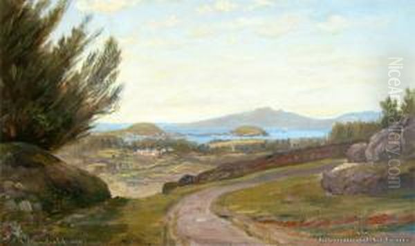 View Of Auckland From Mt Eden Oil Painting by Charles Blomfield