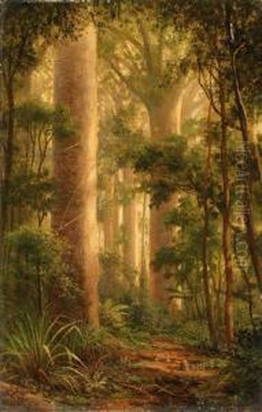 In Kauri Park, Kaipara, Northern Wairoa Oil Painting by Charles Blomfield