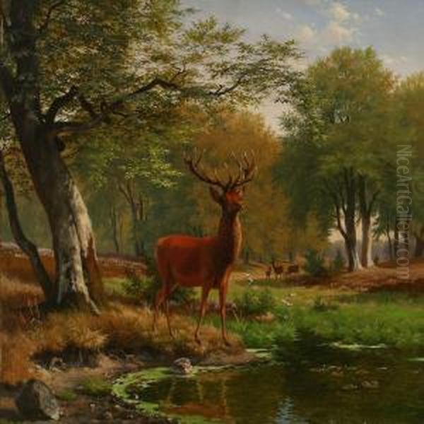 Stag At A Shore In A Forest Glade Oil Painting by Carl Henrik Bogh