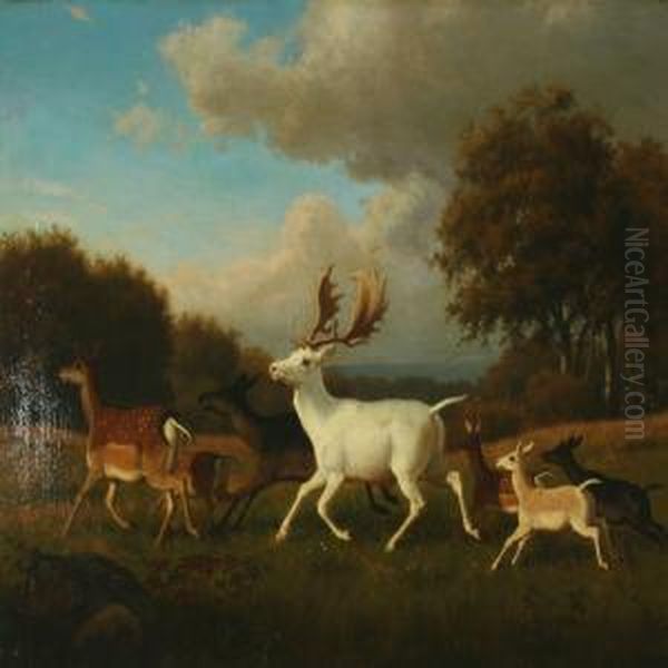 Deers In The Dyrehaven Oil Painting by Carl Henrik Bogh