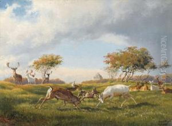 Hirschkampf In Danischer Landschaft. Oil Painting by Carl Henrik Bogh