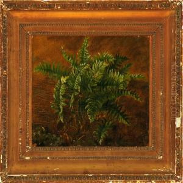 Fern In A Forest Floor Oil Painting by Carl Henrik Bogh