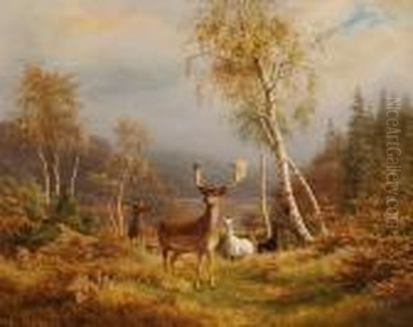 Bogh: Fallow Deer In The Woods 
In Autumn. 