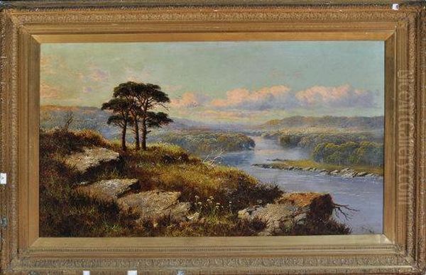 A Broad River Valley With Scots Pines On A Rocky Hillside In The Foreground Oil Painting by John Henry Boel