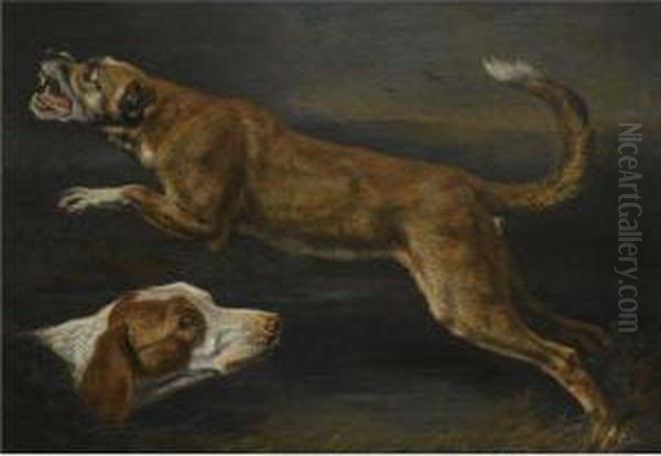 A Study Of Two Dogs, A Pointer And A Hound Oil Painting by Peeter Boel