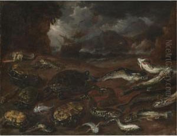 A Still Life Of Turtles, An Eel,
 Pike, Lobsters And Other Fish On The Shore, A Ship In Stormy Seas 
Beyond Oil Painting by Peeter Boel