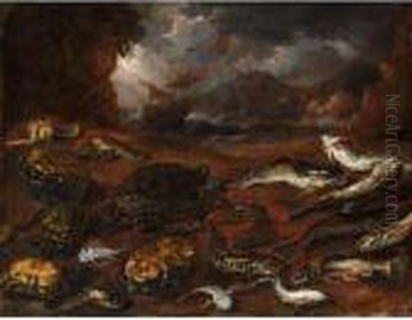 A Still Life Of Fish, Tortoises And Lobster On A Beach, A Stormy Sea Beyond Oil Painting by Peeter Boel