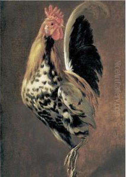 A Rooster Oil Painting by Peeter Boel