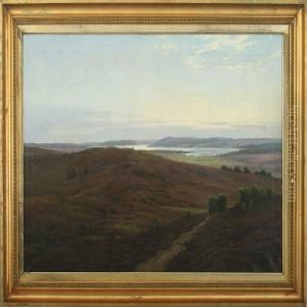 View From A Danish Moor Oil Painting by Johannes Boesen