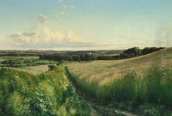 Landscape From The Eastern Part Of Jutland, Denmark Oil Painting by Johannes Boesen