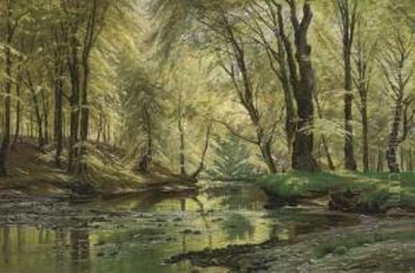 A Woodland Stream Oil Painting by Johannes Boesen