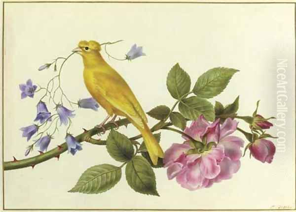 A canary perched on a the branch of a pink rose, carrying harebells in its beak Oil Painting by Pancrace Bessa