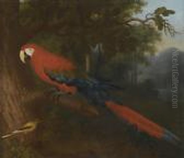 A Parrot And A Yellow Wagtail On A Branch Oil Painting by Jakob Bogdani Eperjes C