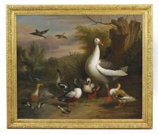 A Goose, Eider, Grebe And Other Fowl Beside A Pond Oil Painting by Jakob Bogdani Eperjes C