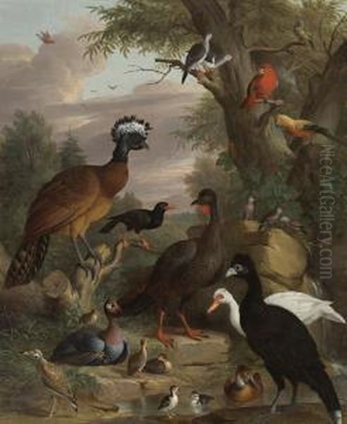 An Assembly Of Birds In A Parkland Landscape, Including A Blue Peacock Oil Painting by Jakob Bogdani Eperjes C