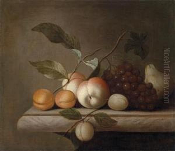 A Still Life Of Fruit On A Stonebalustrade Oil Painting by Jakob Bogdani Eperjes C