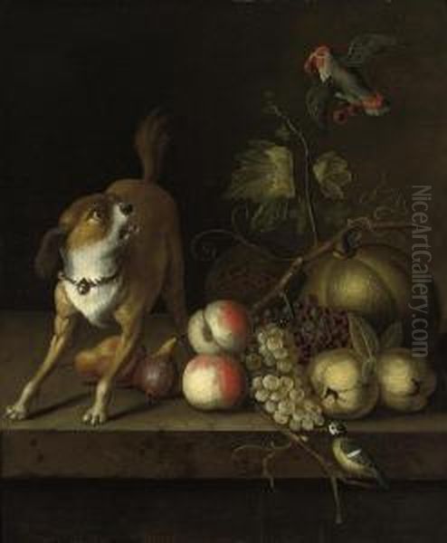 A Dog, A Blue Tit And A Parakeet With Grapes, Peaches, Pears Andpumkins On A Ledge Oil Painting by Jakob Bogdani Eperjes C