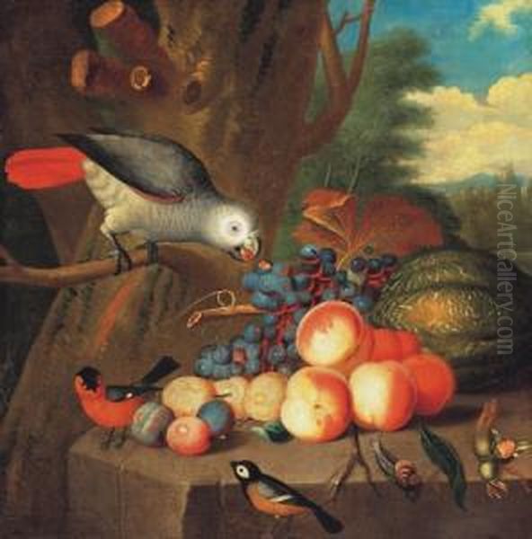 Still-life With Parrot Oil Painting by Jakob Bogdani Eperjes C