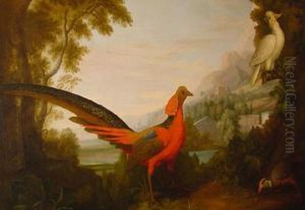 A Pheasant And Cockatoo In A Woodedlandscape Oil Painting by Jakob Bogdani Eperjes C