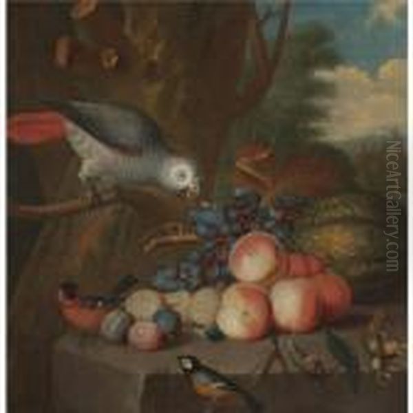 A Still Life With A Parrot And 
Other Birds, Grapes, Plums, A Watermelon, Peaches And A Snail On A Stone
 Ledge Oil Painting by Jakob Bogdani Eperjes C