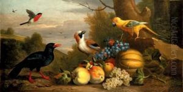 A Bullfinch, A Chough, A Jay And
 A Sun Conure With Quinces, Grapes And Melons In A Landscape Oil Painting by Jakob Bogdani Eperjes C