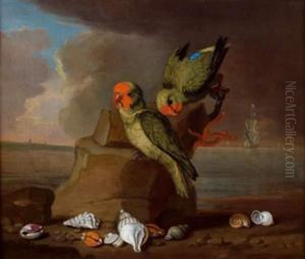 Perruches Et Coquillages Pres De La Mer Oil Painting by Jakob Bogdani Eperjes C