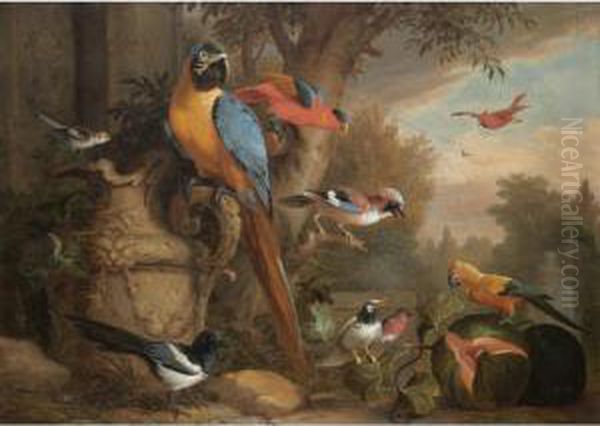 An Assembly Of Birds In A Parkland Setting, Including A Parrot, A Jay, And A Magpie Oil Painting by Jakob Bogdani Eperjes C