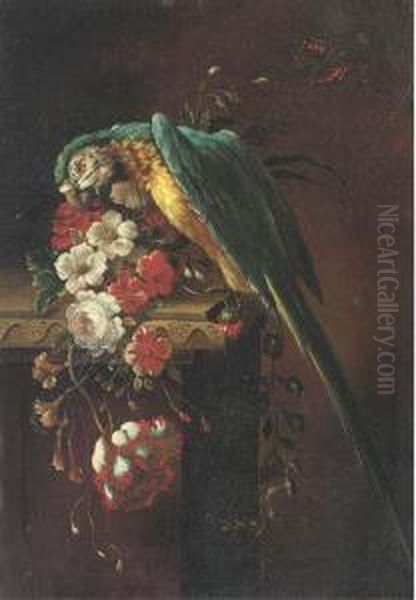 A Macaw On A Stone Ledge, With Poppies, Flowers And A Butterfly Tothe Side Oil Painting by Jakob Bogdani Eperjes C