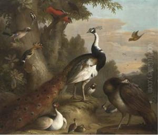 A Wooded Landscape With Peacocks And Other Birds In Theforeground Oil Painting by Jakob Bogdani Eperjes C