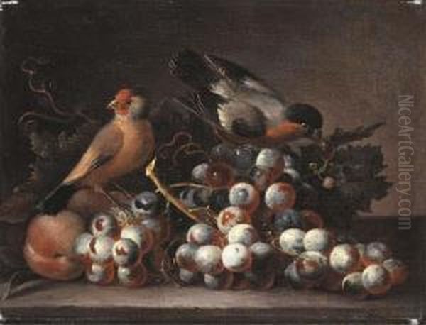 Grapes On The Vine And Peaches With Two Finches On A Ledge Oil Painting by Jakob Bogdani Eperjes C