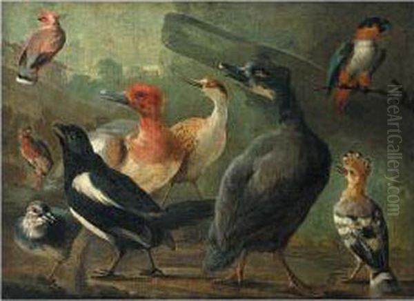 A Landscape With A Black-capped Caique Parrot, A Hoopoe, A Magpie And Other Birds Oil Painting by Jakob Bogdani Eperjes C