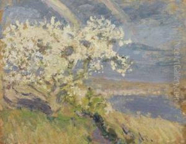 Arbre En Fleurs Oil Painting by Emilio Boggio