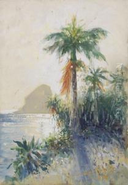 Rio Dejaneiro, 
Blick Auf Denzuckerhut Oil Painting by Hans Bohrdt