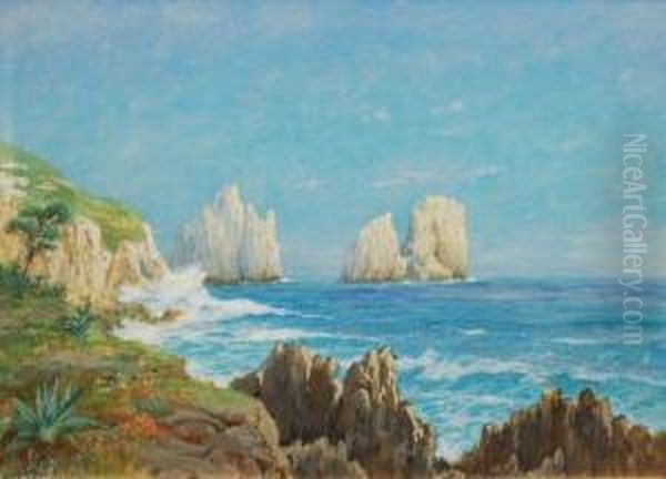 Capri Oil Painting by Hans Bohrdt