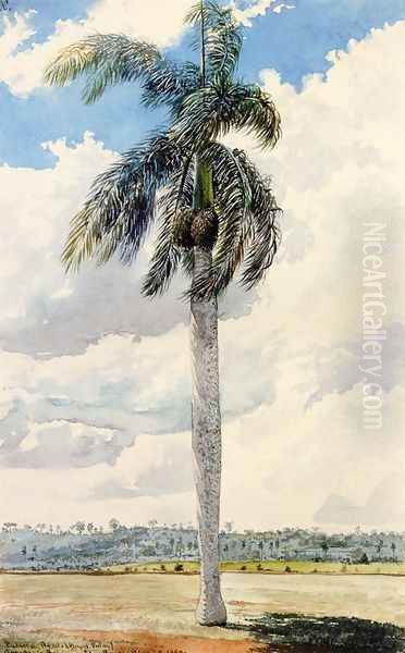 Royal Palm Oil Painting by Charles DeWolf Brownell