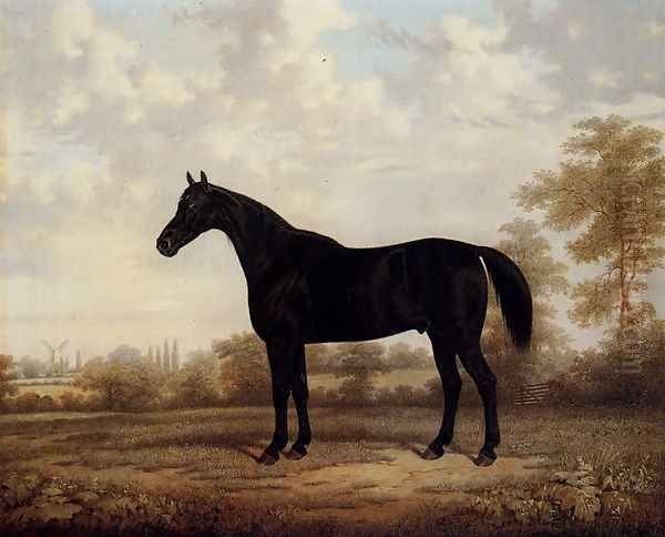 Dark Bay Hunter In A Wooded Landscape Oil Painting by E. Brown