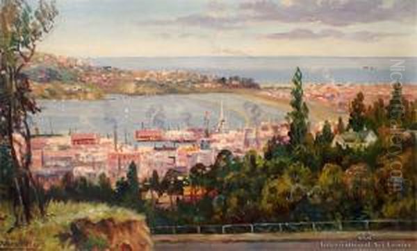 Dunedin Oil Painting by William Allen Bollard