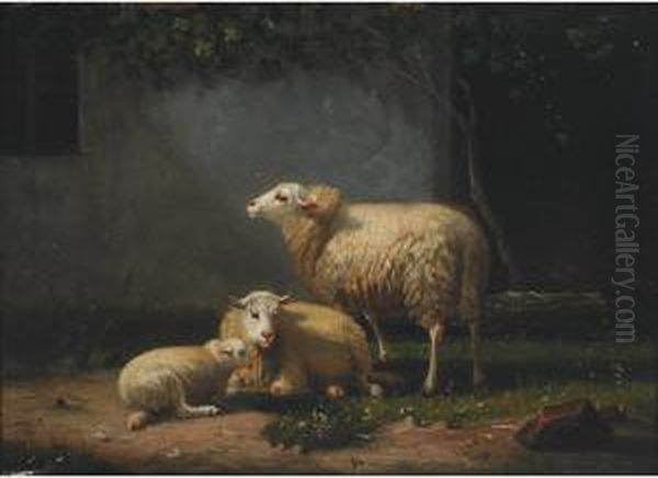 Sheep In A Farmyard; Sheep In A Pasture Oil Painting by Auguste Bonheur