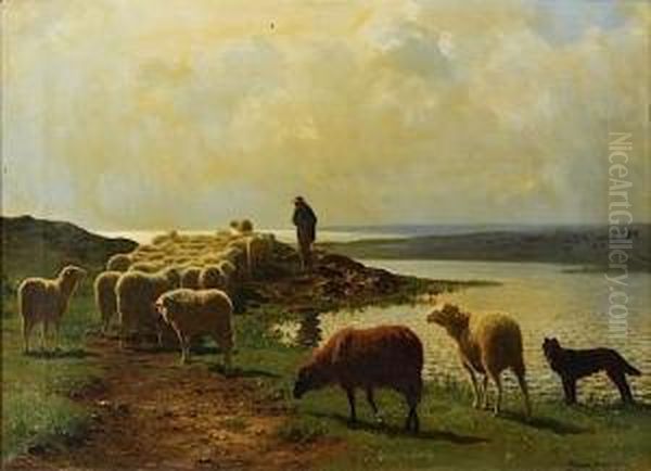 Troupeau De Moutons En Bord De Mer Oil Painting by Auguste Bonheur