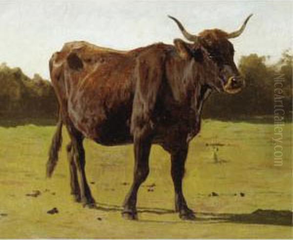 A Cow Grazing In A Meadow Oil Painting by Auguste Bonheur