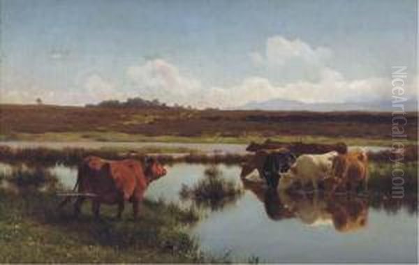 Cattle Watering At A Stream Oil Painting by Auguste Bonheur