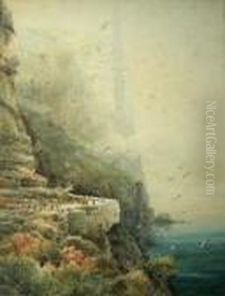 Bempton Cliffs In A Sea Mist by Frederick William Booty