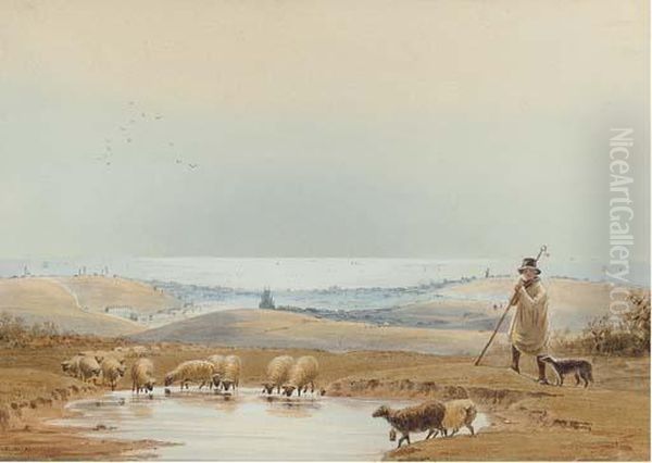 A Shepherd And His Flock On The South Downs Above Brighton Oil Painting by Frederick William Booty